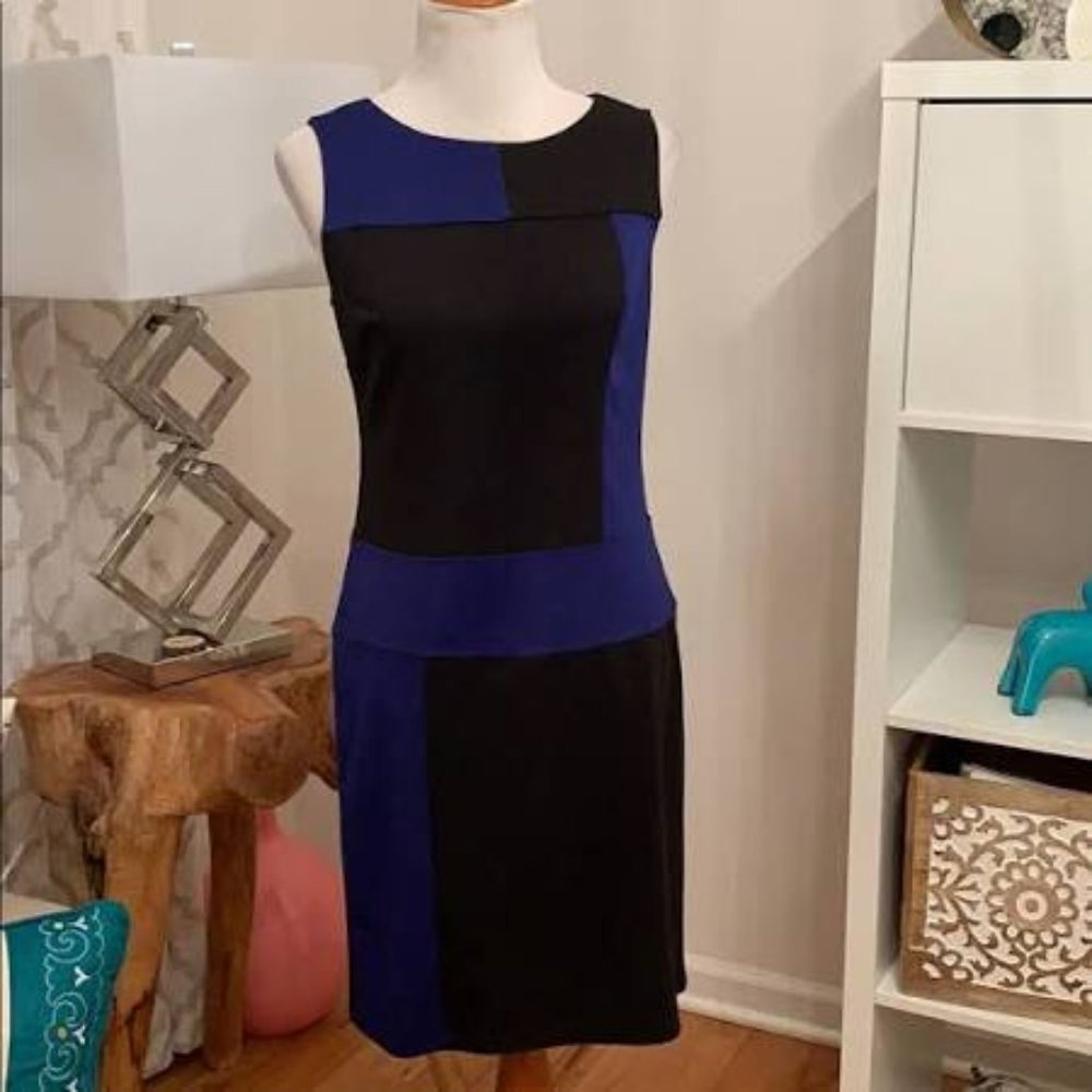 Royal Blue & Black Sleeveless Colorblock Dress